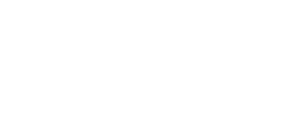 Rizz Supply Co. — est 1776